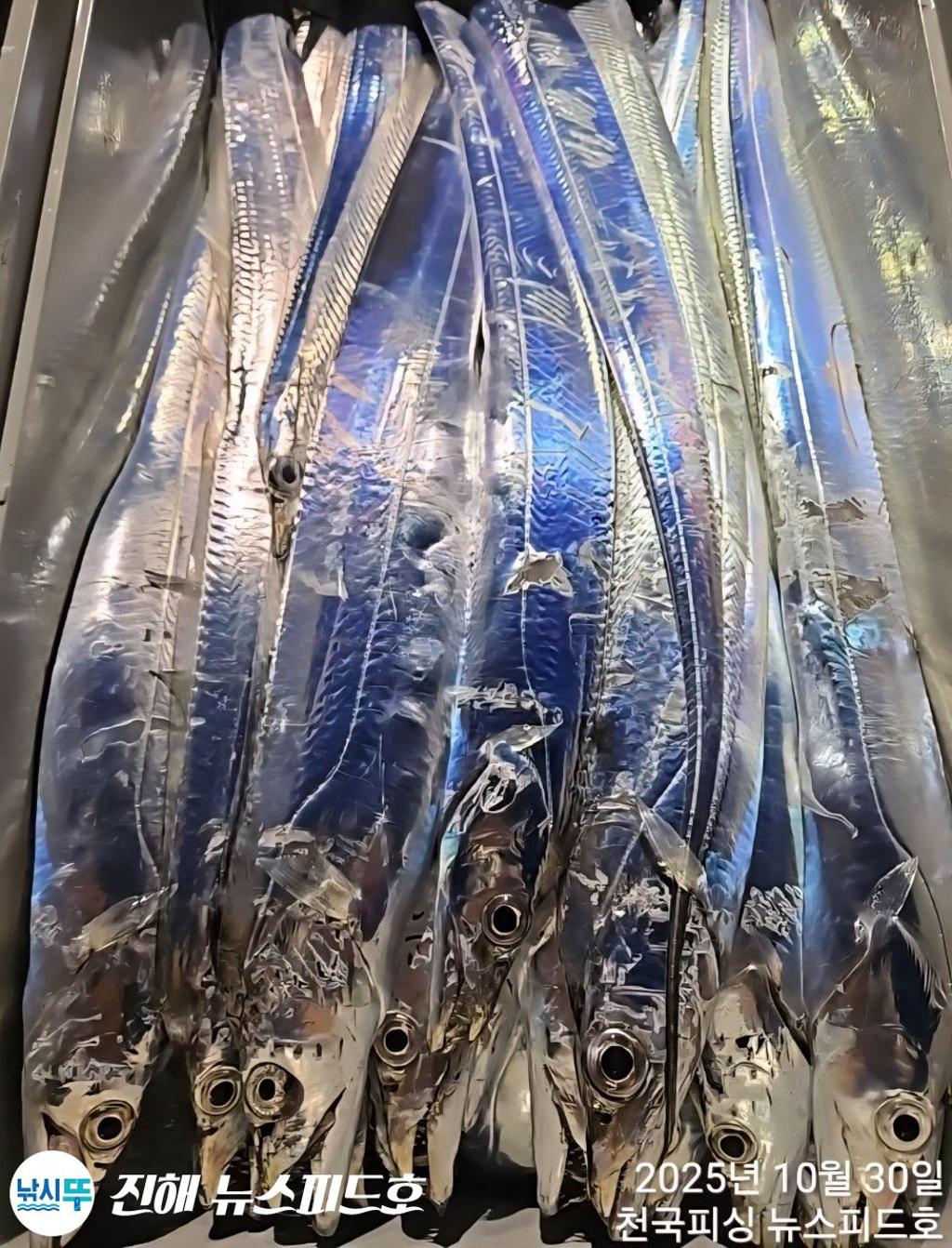 낚시뚜,,진해행암항,진해 뉴스피드호,낚시뚜18