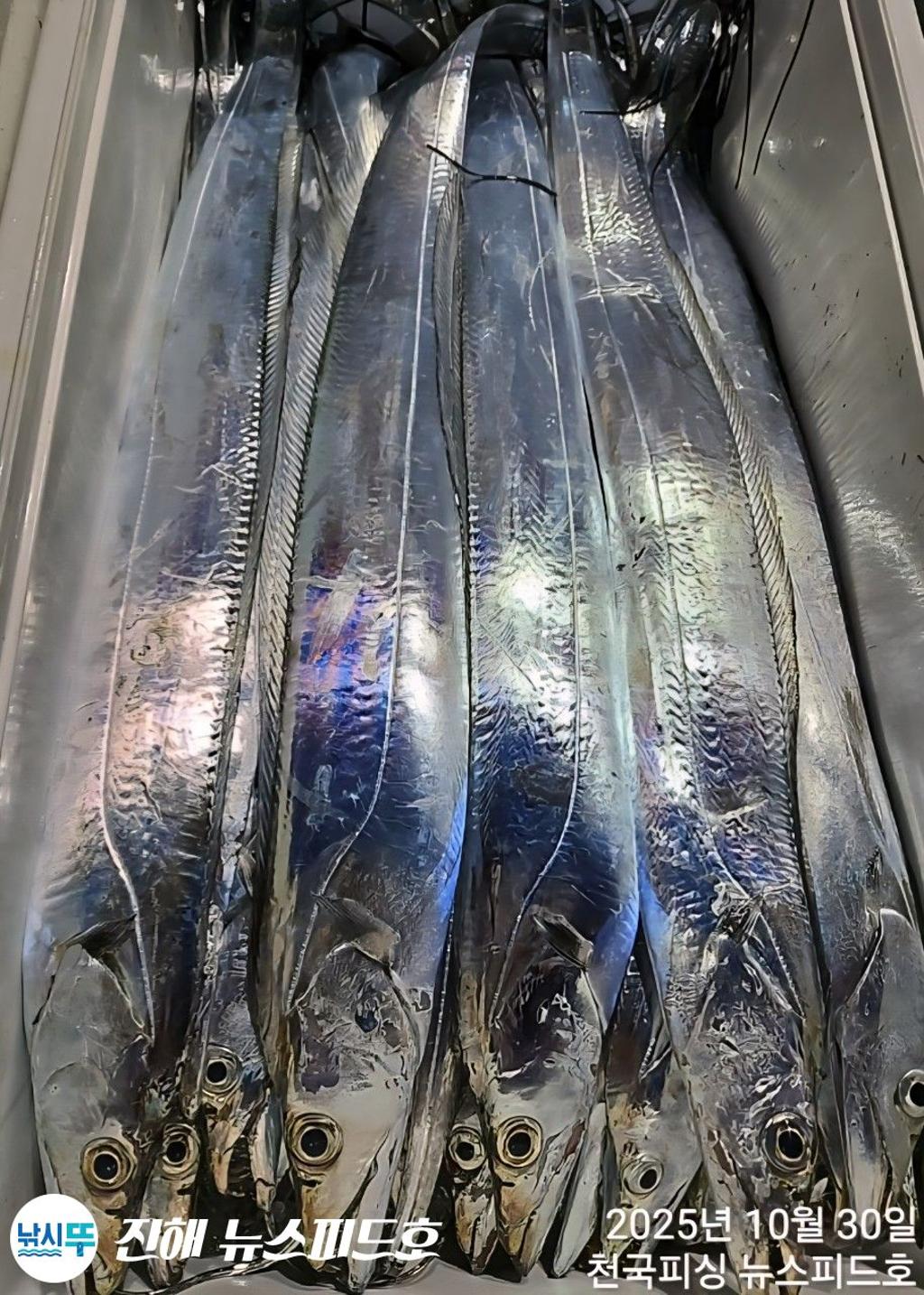 낚시뚜,,진해행암항,진해 뉴스피드호,낚시뚜17