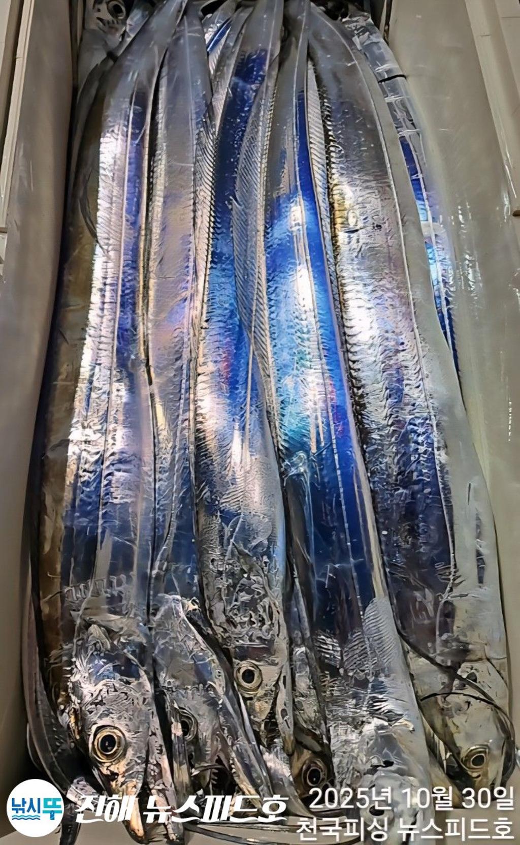 낚시뚜,,진해행암항,진해 뉴스피드호,낚시뚜16