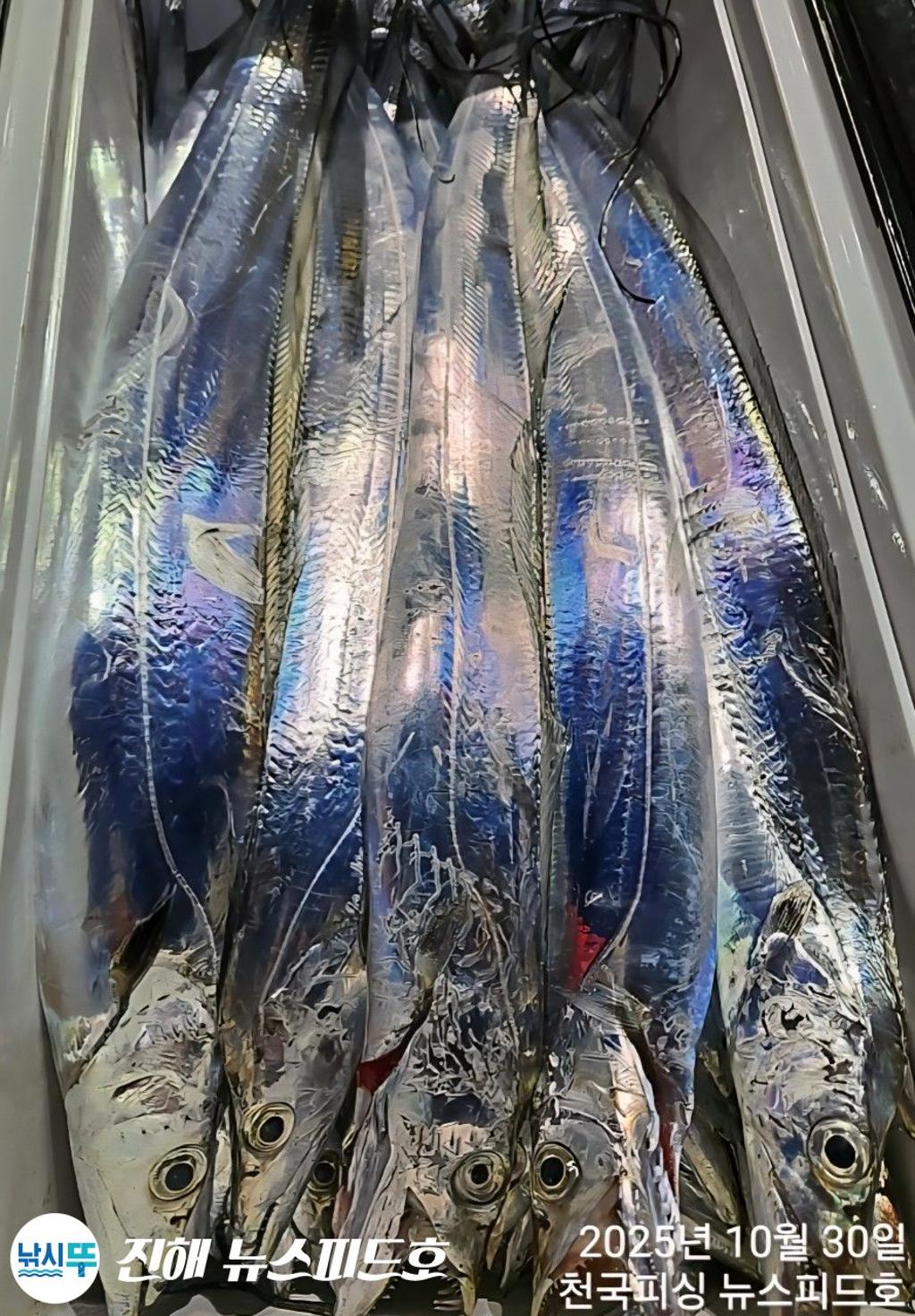 낚시뚜,,진해행암항,진해 뉴스피드호,낚시뚜15