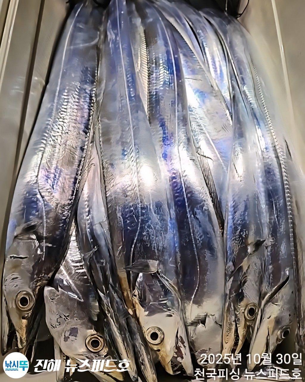 낚시뚜,,진해행암항,진해 뉴스피드호,낚시뚜14