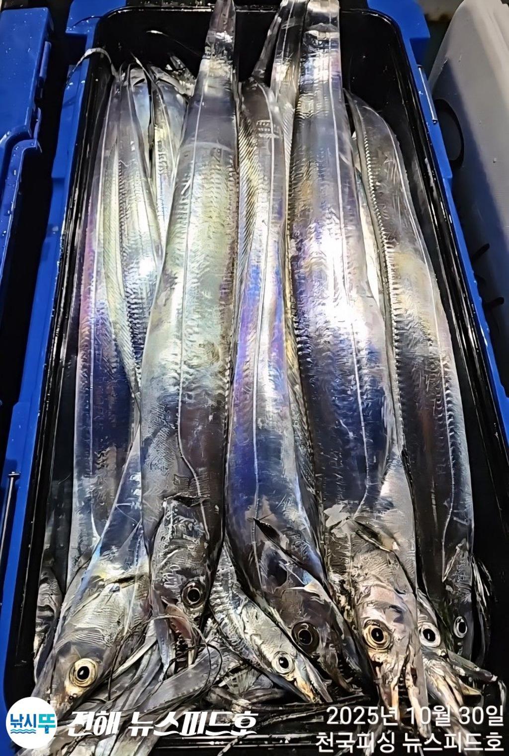 낚시뚜,,진해행암항,진해 뉴스피드호,낚시뚜13