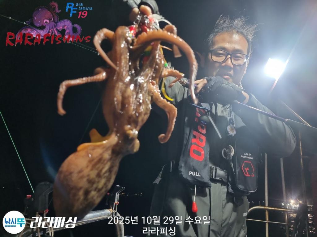 낚시뚜,돌문어,속천항(진해),라라피싱,낚시뚜10