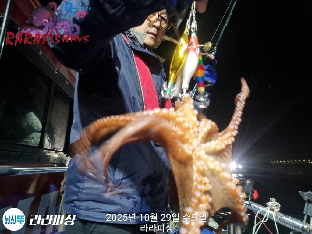 낚시뚜,돌문어,속천항(진해),라라피싱,낚시뚜9