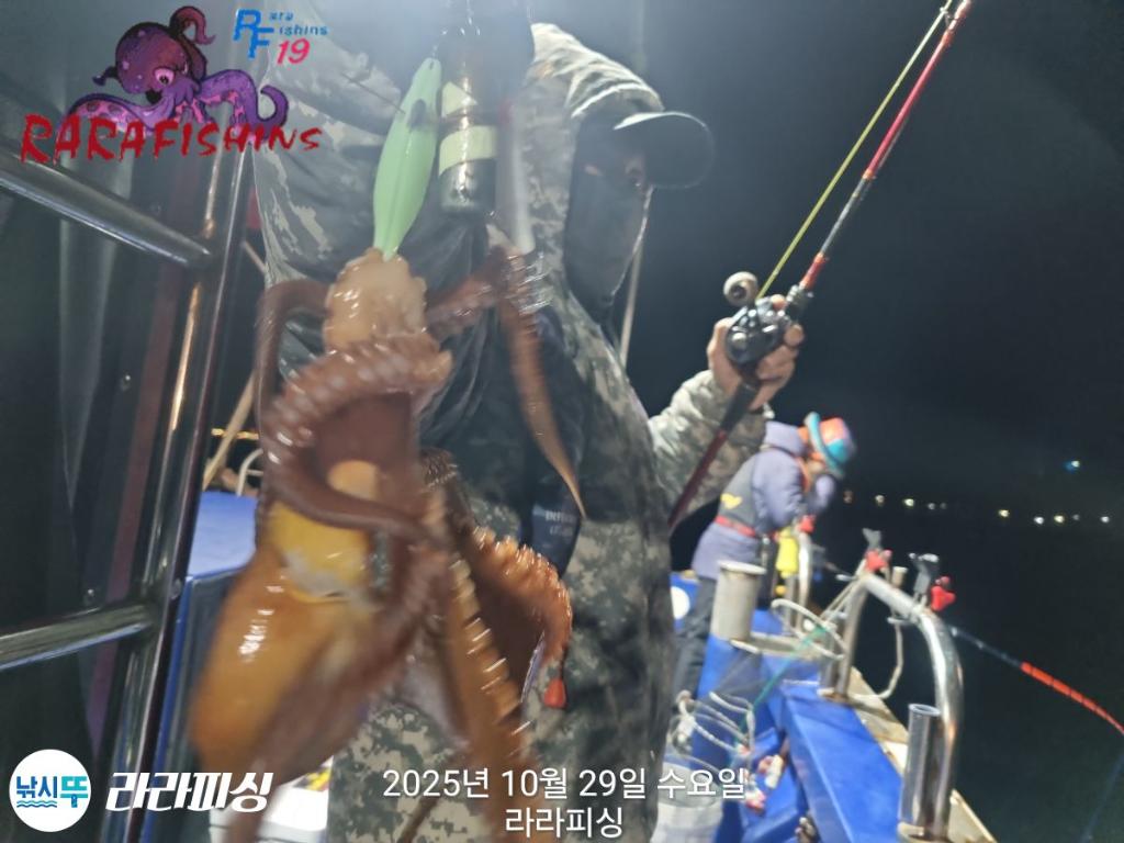 낚시뚜,돌문어,속천항(진해),라라피싱,낚시뚜8