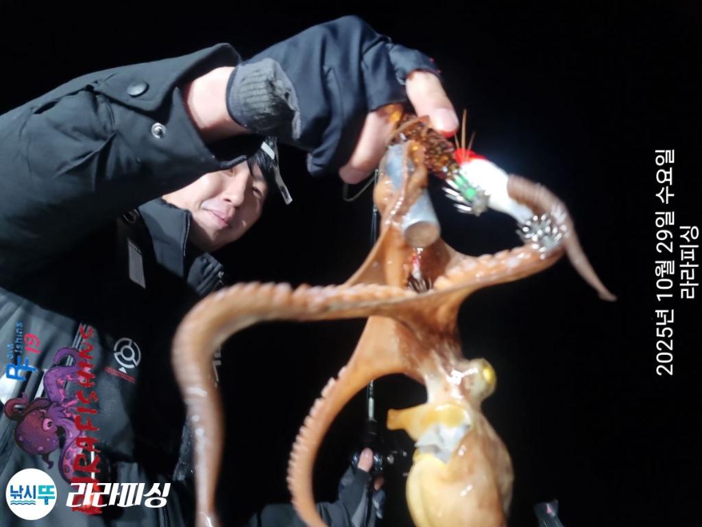 낚시뚜,돌문어,속천항(진해),라라피싱,낚시뚜12