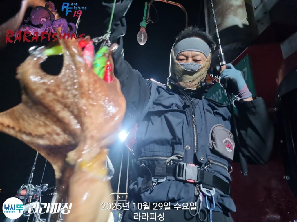 낚시뚜,돌문어,속천항(진해),라라피싱,낚시뚜11