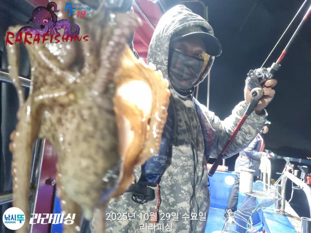 낚시뚜,돌문어,속천항(진해),라라피싱,낚시뚜10