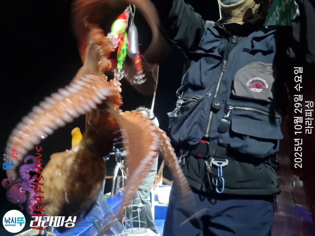 낚시뚜,돌문어,속천항(진해),라라피싱,낚시뚜4