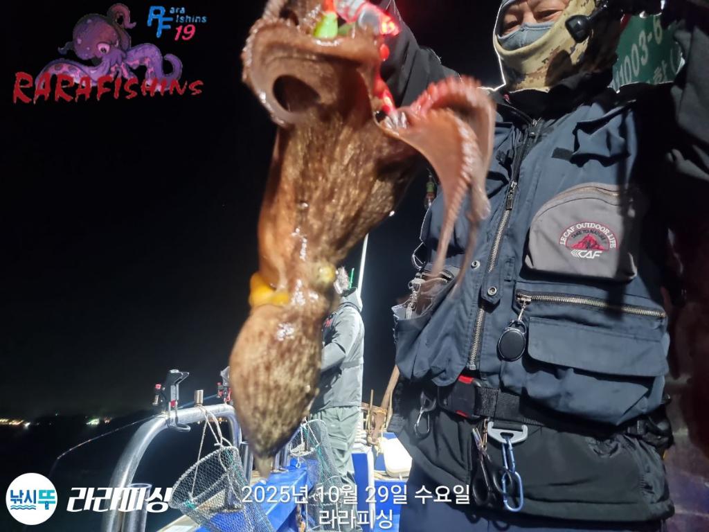 낚시뚜,돌문어,속천항(진해),라라피싱,낚시뚜3