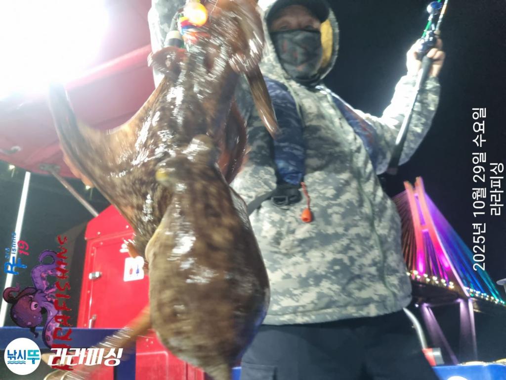낚시뚜,돌문어,속천항(진해),라라피싱,낚시뚜2