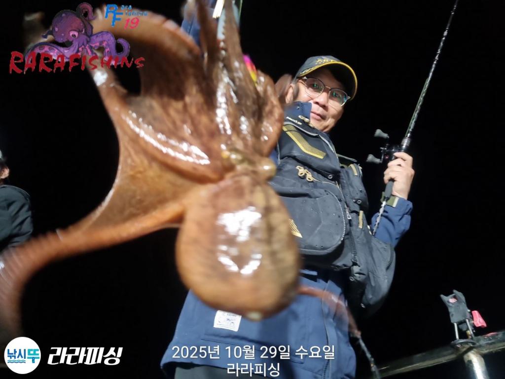 낚시뚜,돌문어,속천항(진해),라라피싱,낚시뚜0