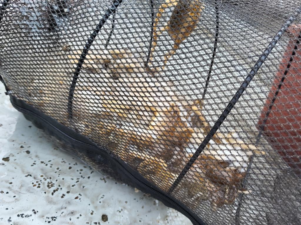 낚시뚜,쭈꾸미,오천항,푸르러호(뉴해양호),낚시뚜1