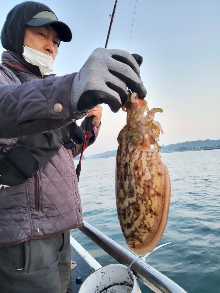 낚시뚜,쭈꾸미,오천항,푸르러호(뉴해양호),낚시뚜9