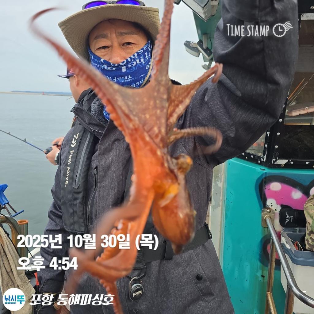 낚시뚜,돌문어,포항(운하관),포항 동해피싱호,낚시뚜10