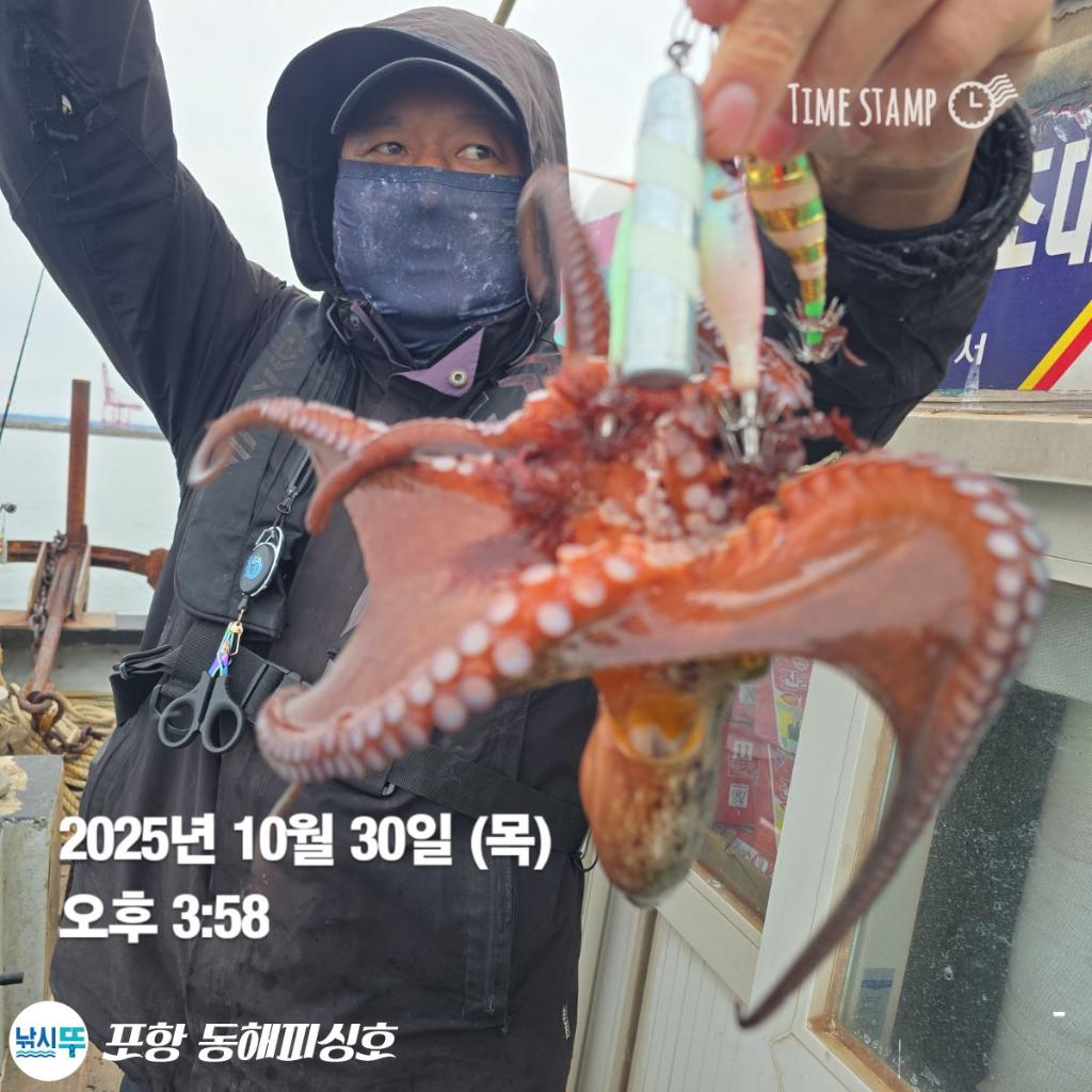 낚시뚜,돌문어,포항(운하관),포항 동해피싱호,낚시뚜7