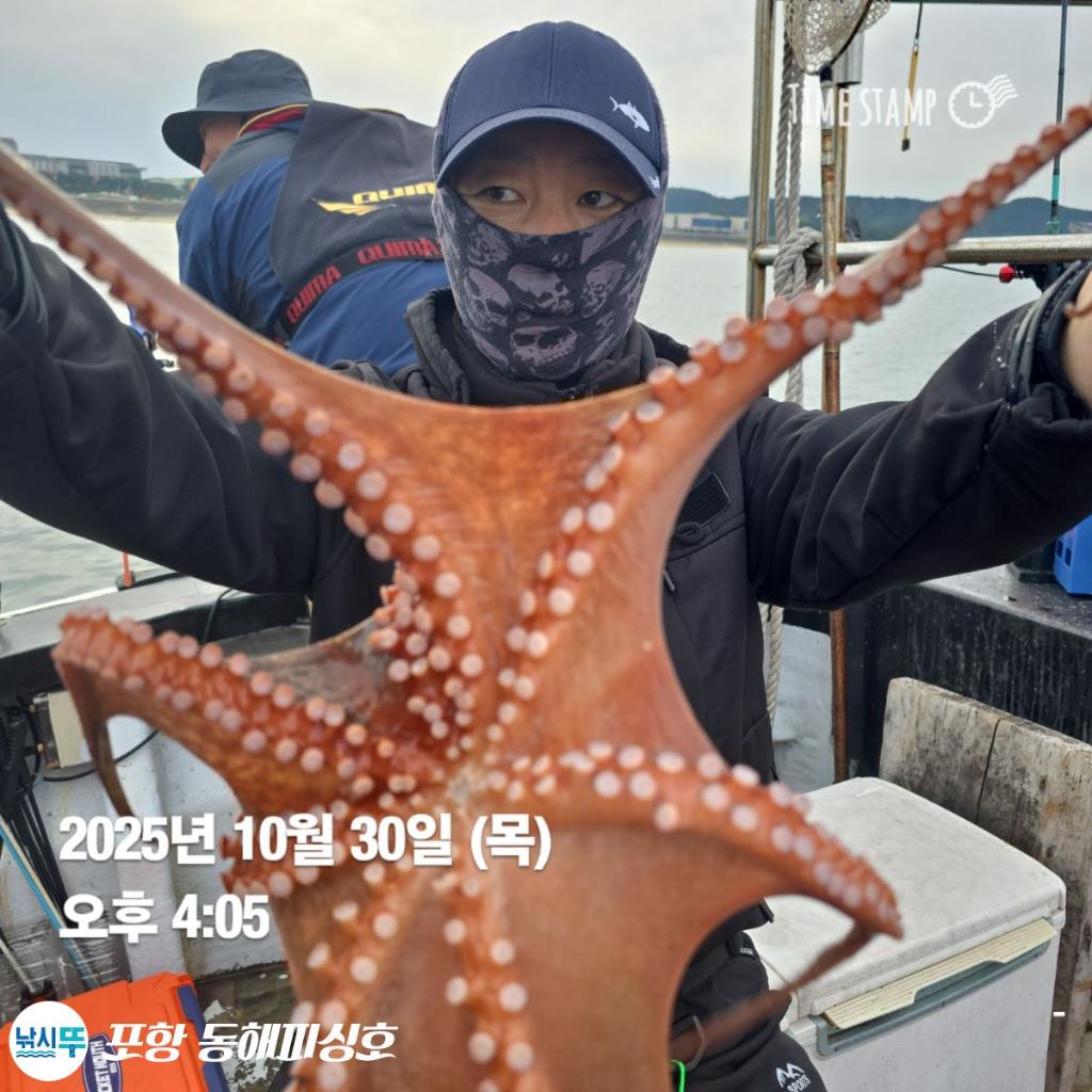 낚시뚜,돌문어,포항(운하관),포항 동해피싱호,낚시뚜6