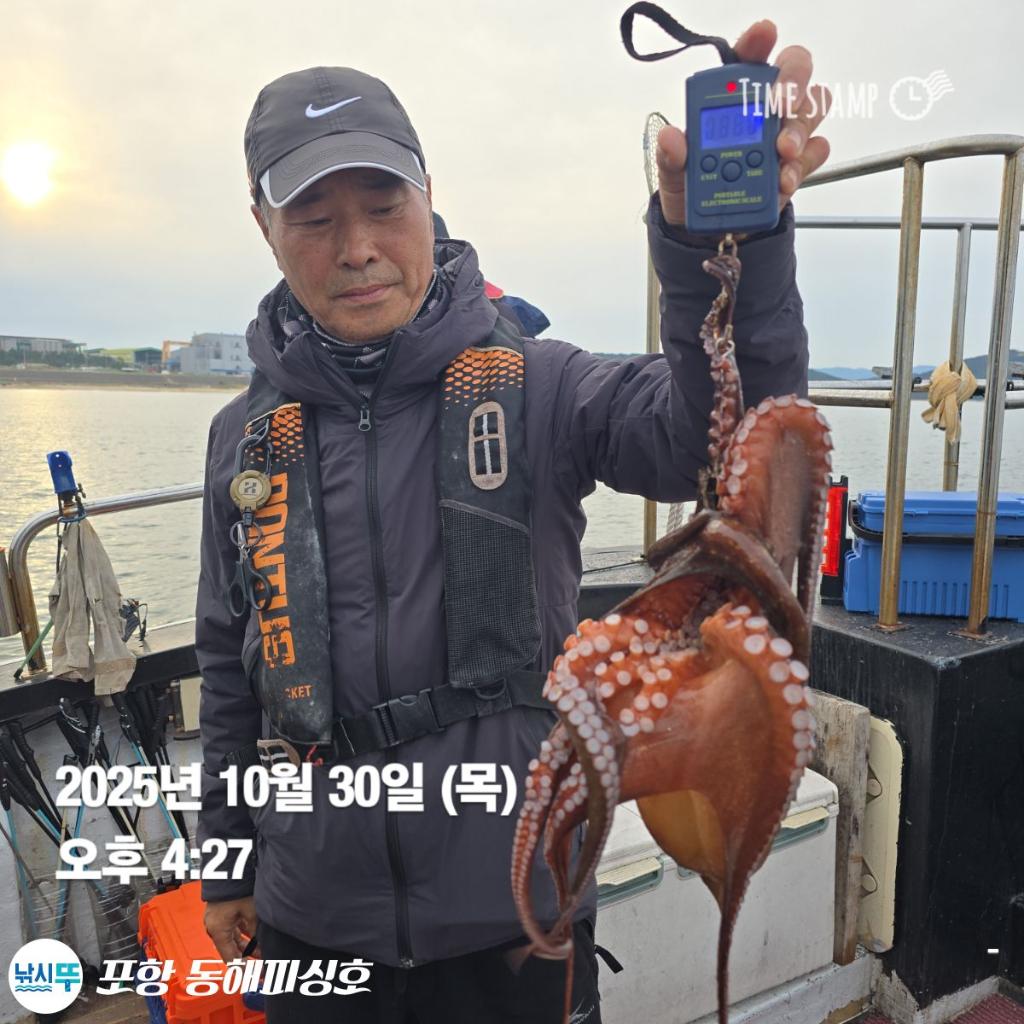 낚시뚜,돌문어,포항(운하관),포항 동해피싱호,낚시뚜5