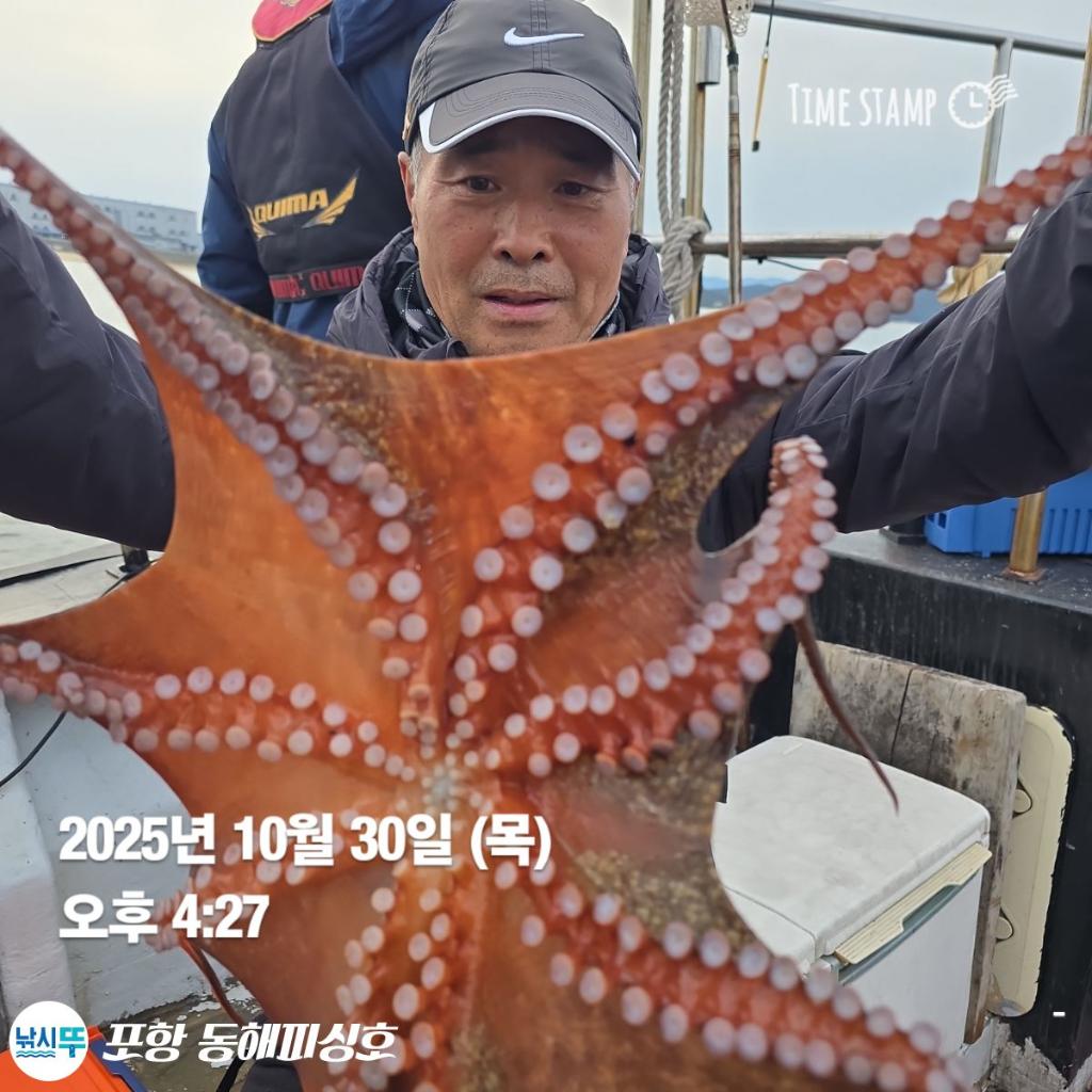 낚시뚜,돌문어,포항(운하관),포항 동해피싱호,낚시뚜3
