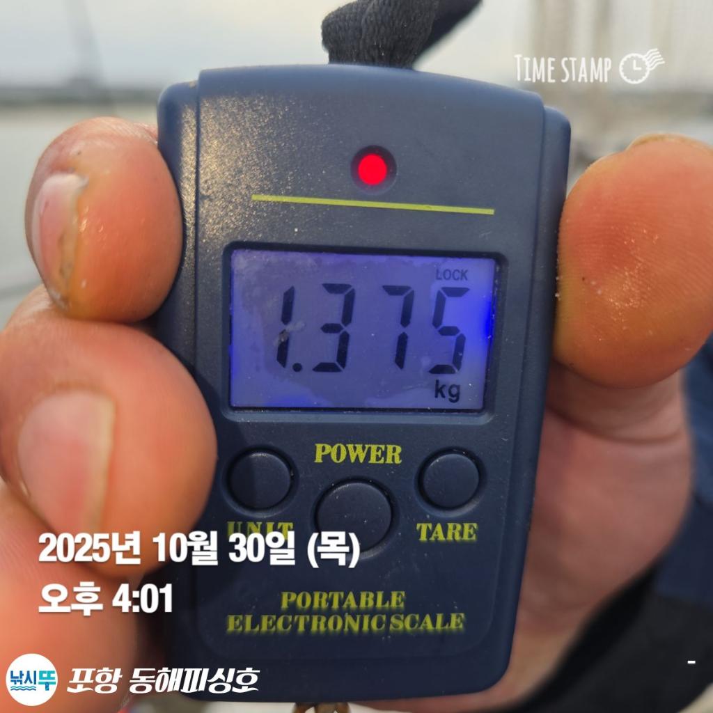 낚시뚜,돌문어,포항(운하관),포항 동해피싱호,낚시뚜1