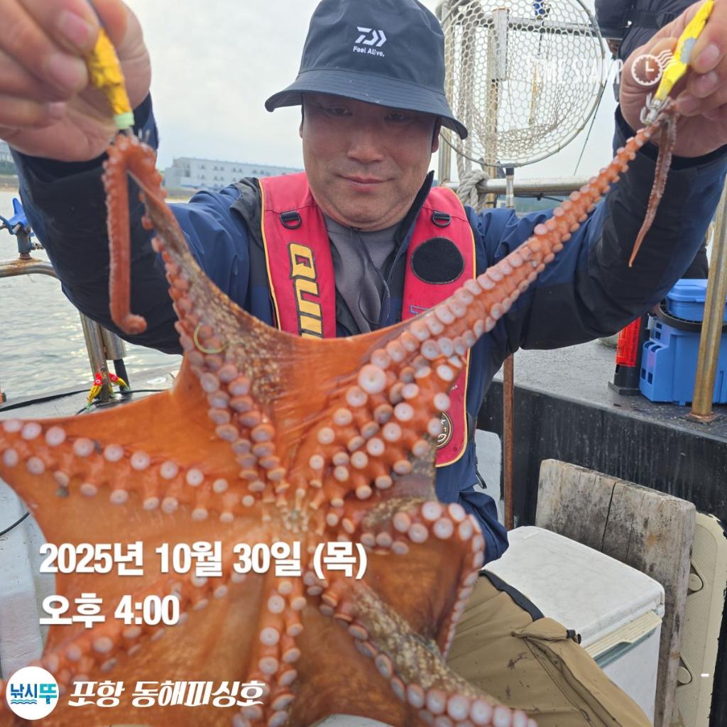 낚시뚜,돌문어,포항(운하관),포항 동해피싱호,낚시뚜0