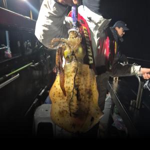 조황, 29일 무늬(팁런) 조황! 오늘 정상 츌항 모집중 입니다.