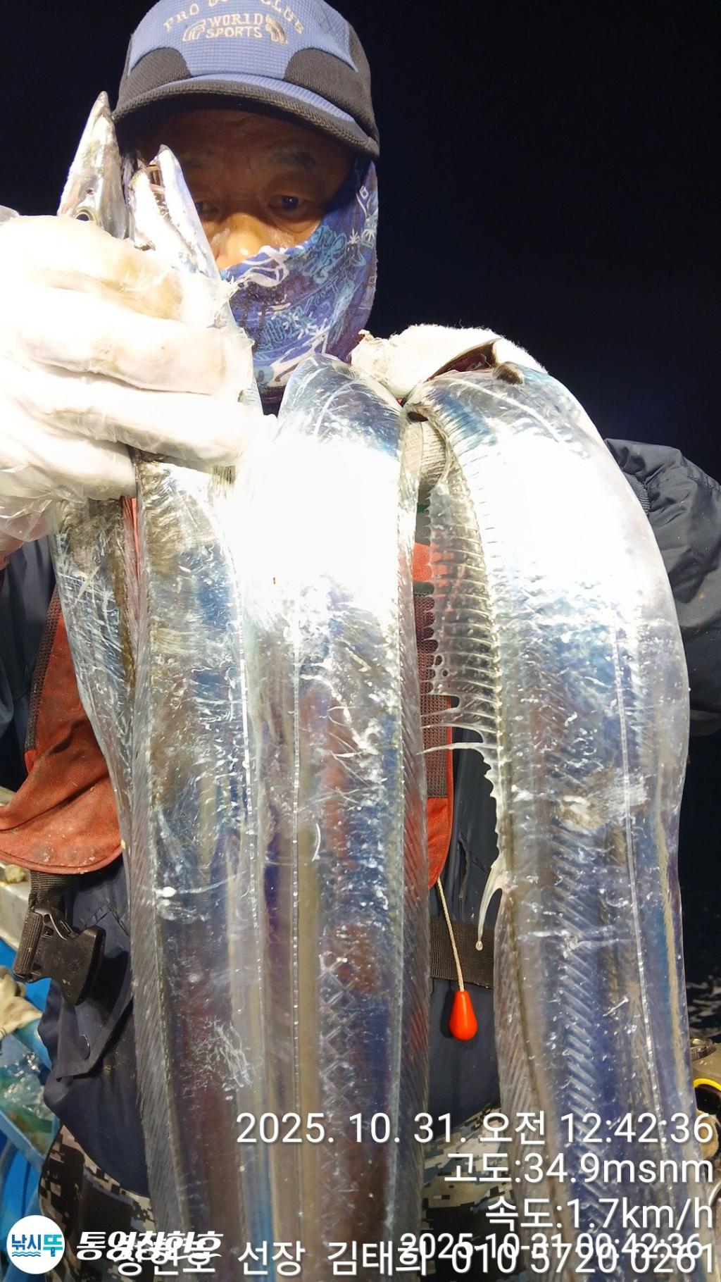 낚시뚜,갈치,통영연명항,통영창현호,낚시뚜4