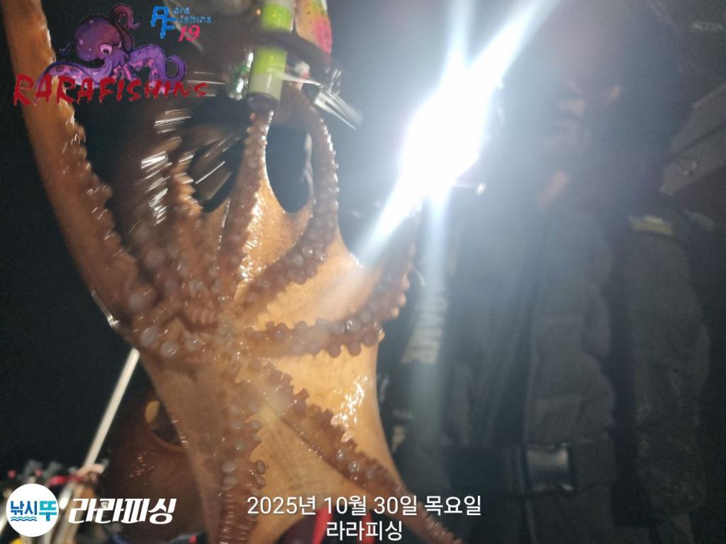 낚시뚜,돌문어,속천항(진해),라라피싱,낚시뚜11