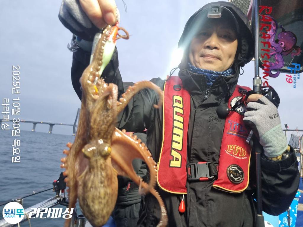 낚시뚜,돌문어,속천항(진해),라라피싱,낚시뚜10