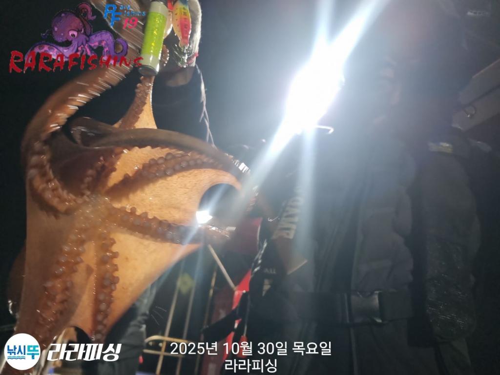 낚시뚜,돌문어,속천항(진해),라라피싱,낚시뚜8
