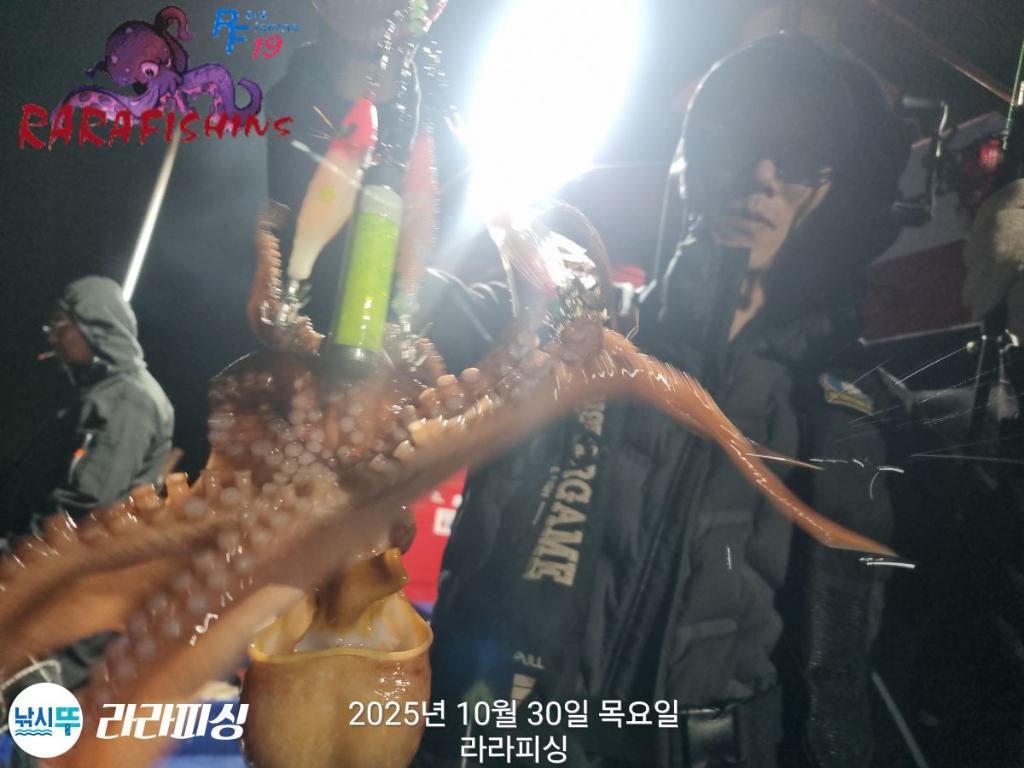낚시뚜,돌문어,속천항(진해),라라피싱,낚시뚜6