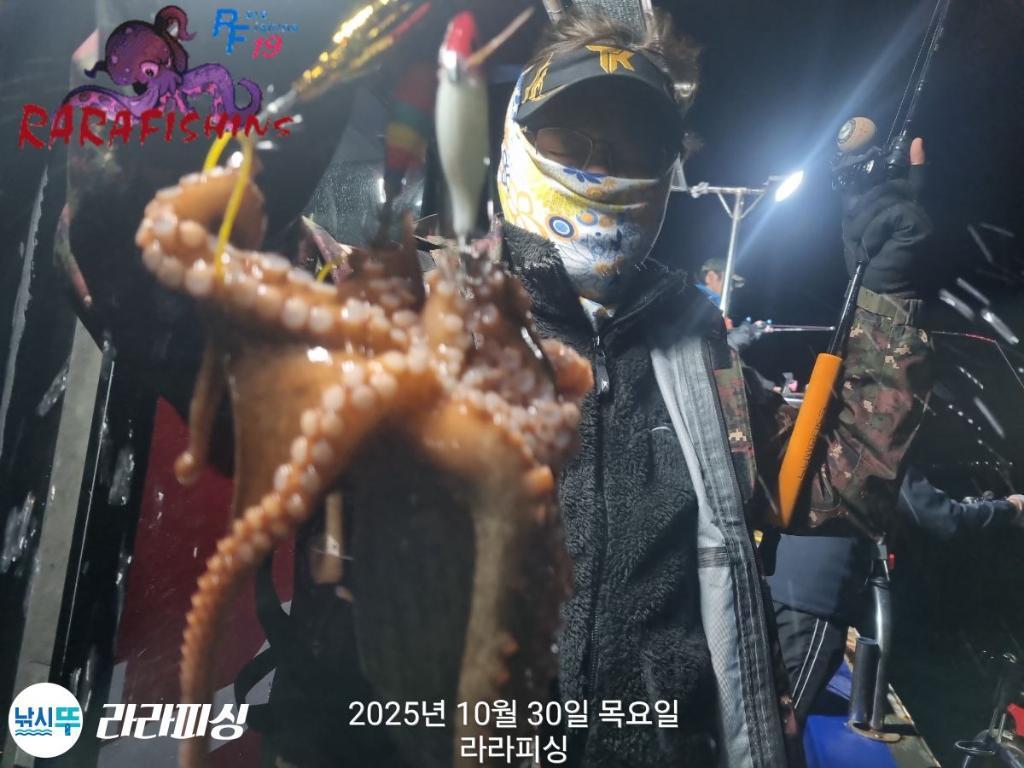 낚시뚜,돌문어,속천항(진해),라라피싱,낚시뚜5