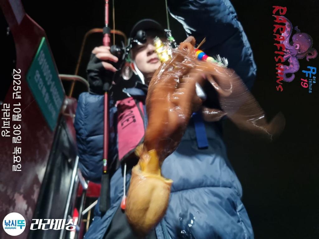 낚시뚜,돌문어,속천항(진해),라라피싱,낚시뚜4