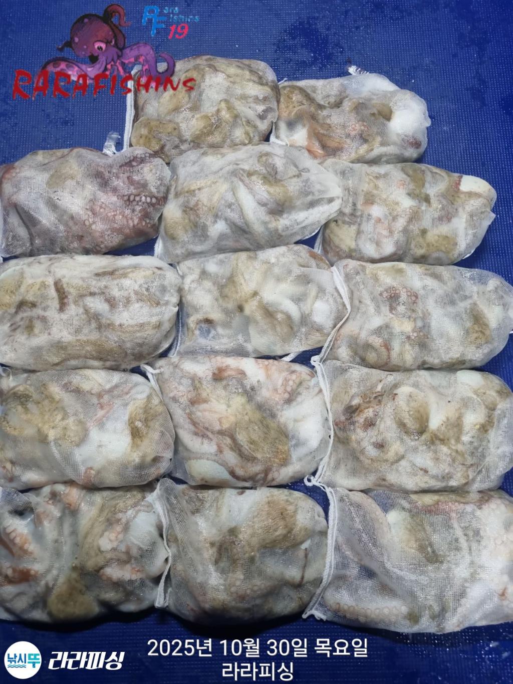 낚시뚜,돌문어,속천항(진해),라라피싱,낚시뚜1