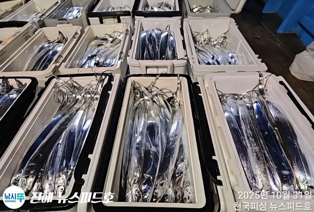 낚시뚜,,진해행암항,진해 뉴스피드호,낚시뚜23