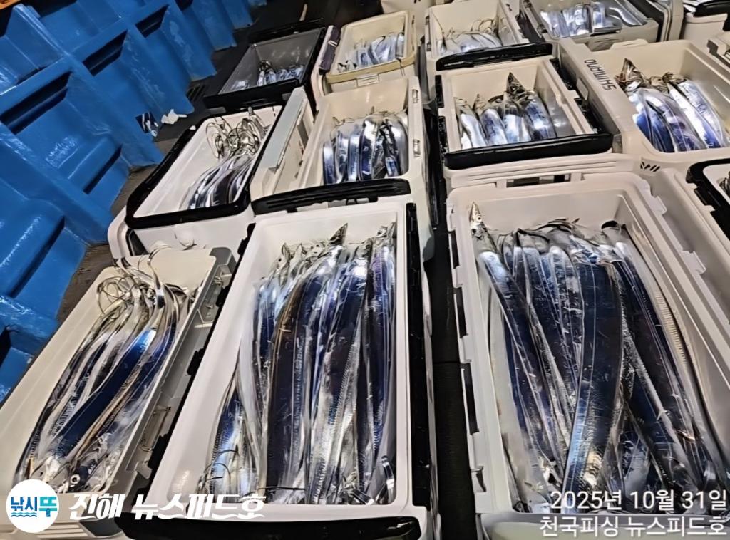 낚시뚜,,진해행암항,진해 뉴스피드호,낚시뚜22