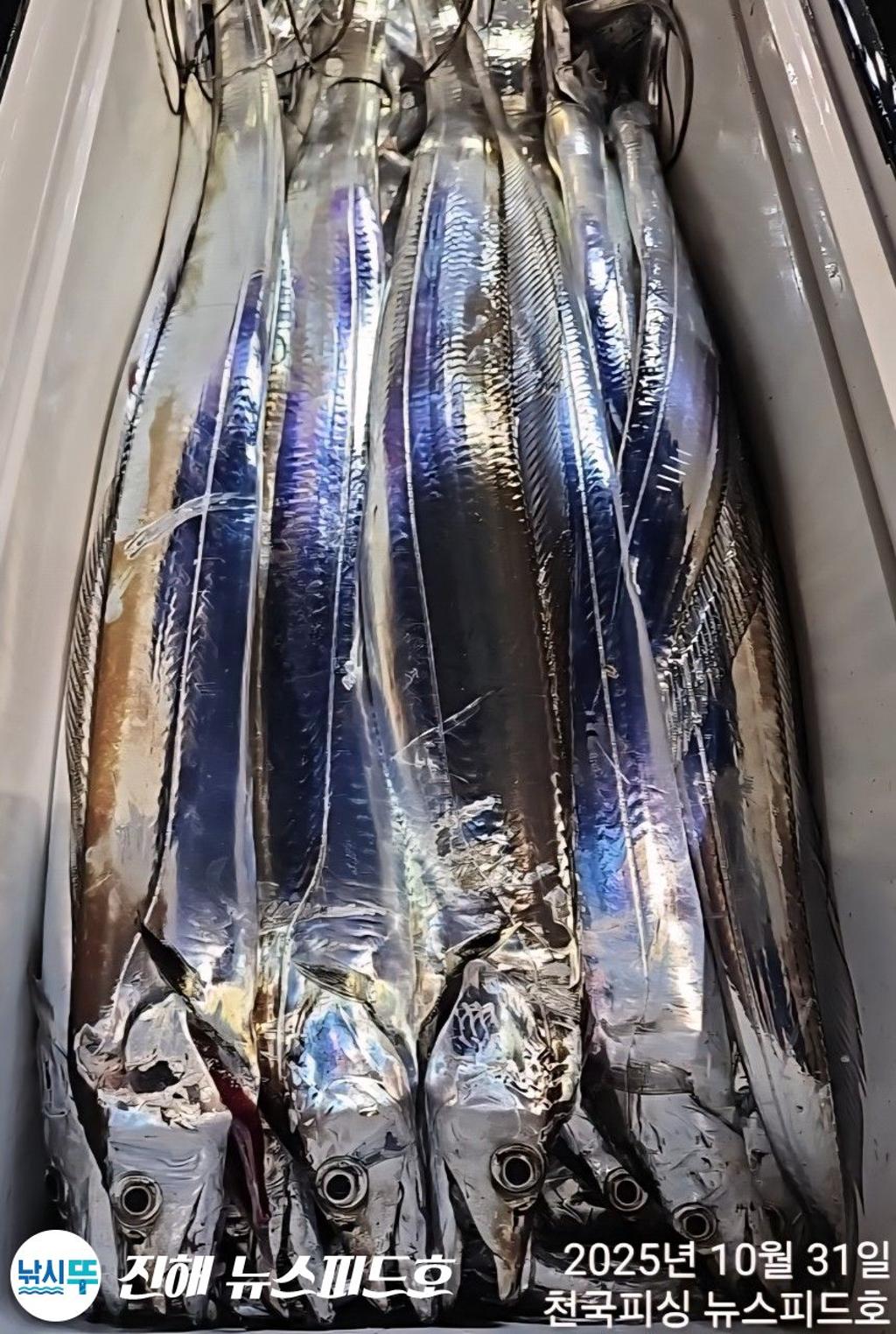 낚시뚜,,진해행암항,진해 뉴스피드호,낚시뚜19