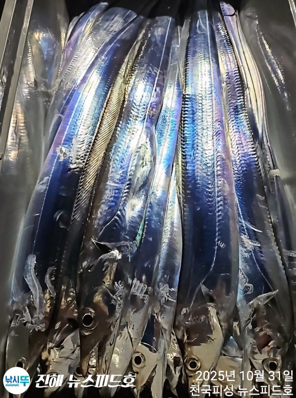 낚시뚜,,진해행암항,진해 뉴스피드호,낚시뚜16