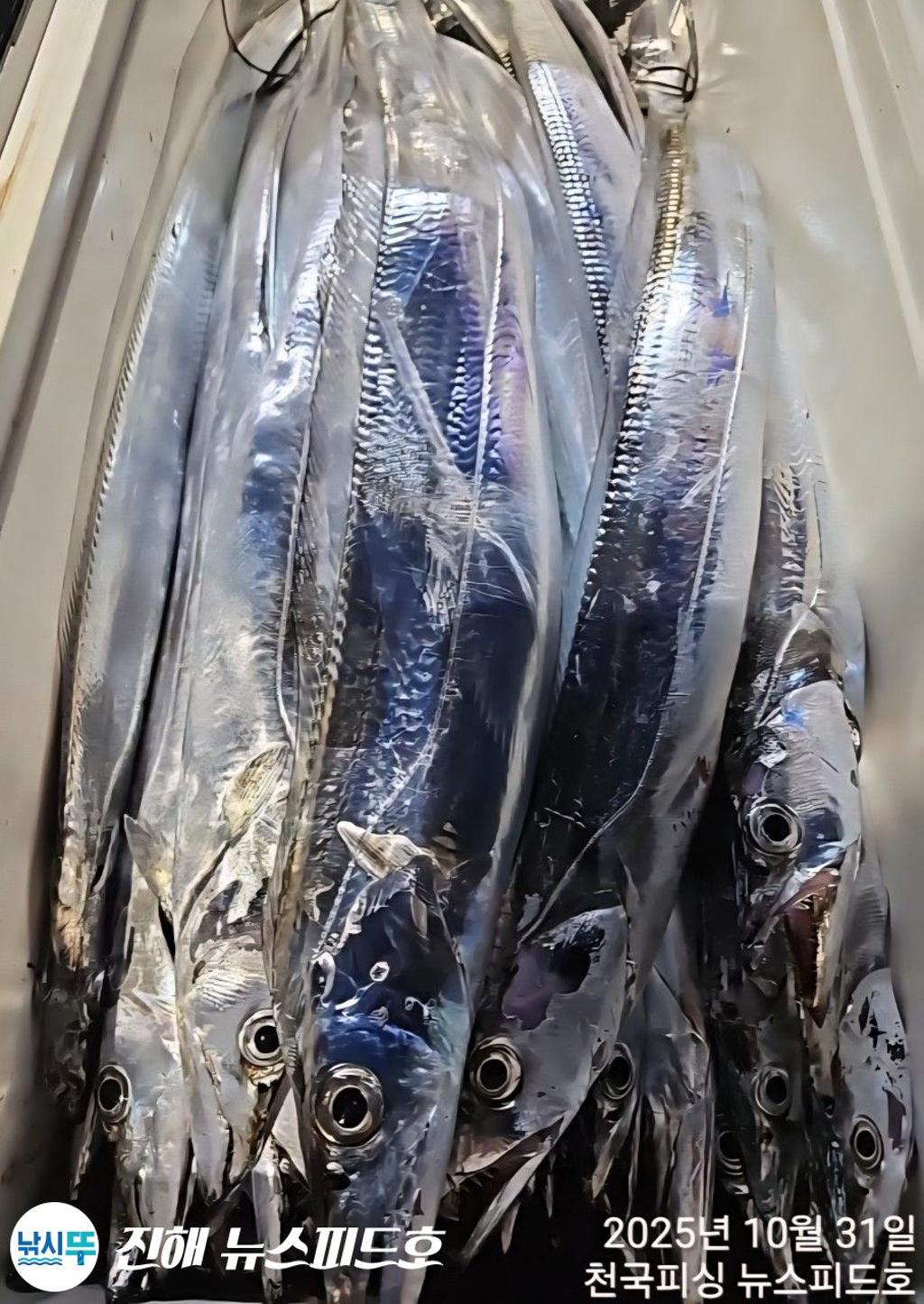 낚시뚜,,진해행암항,진해 뉴스피드호,낚시뚜14