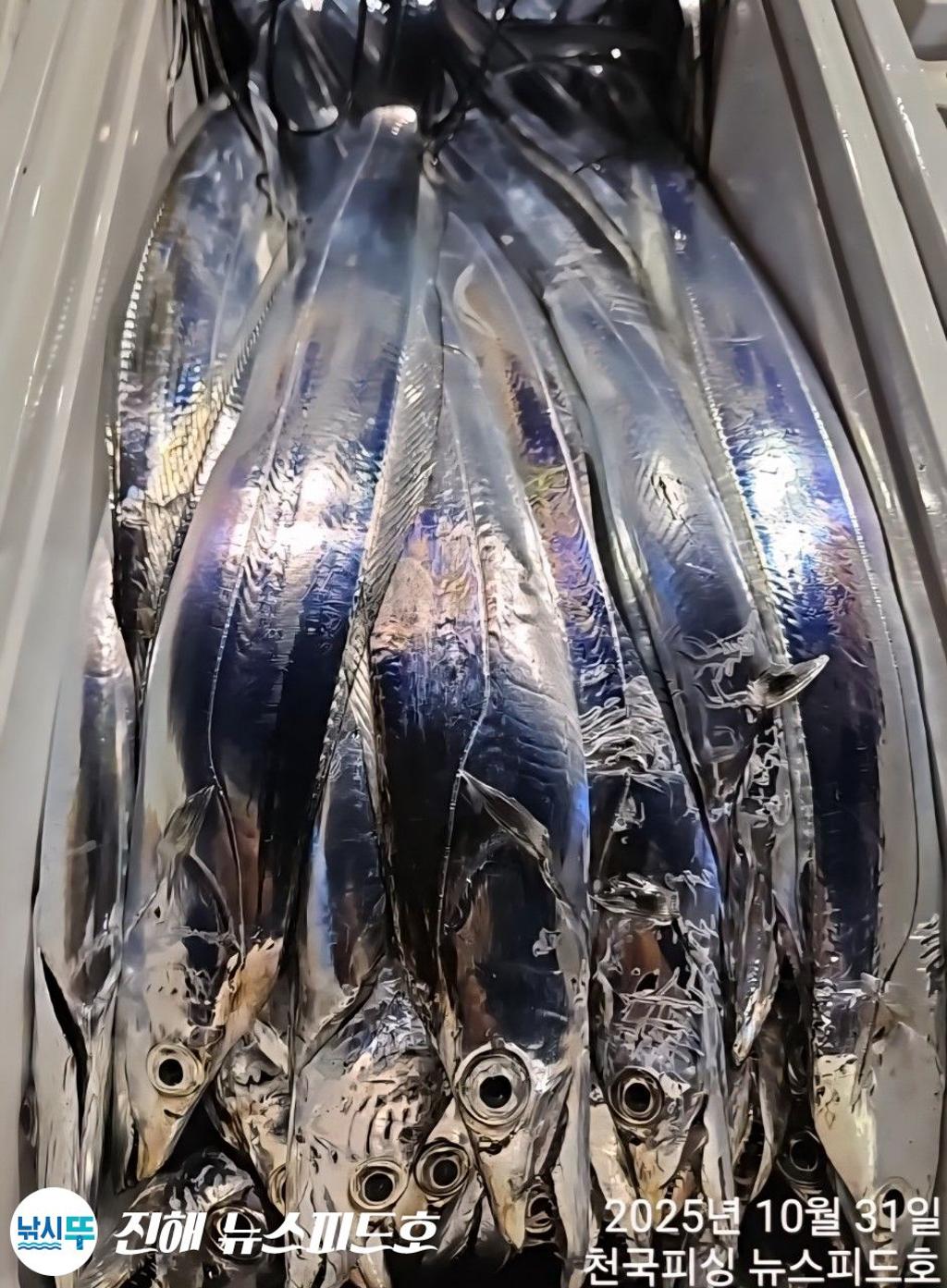 낚시뚜,,진해행암항,진해 뉴스피드호,낚시뚜12