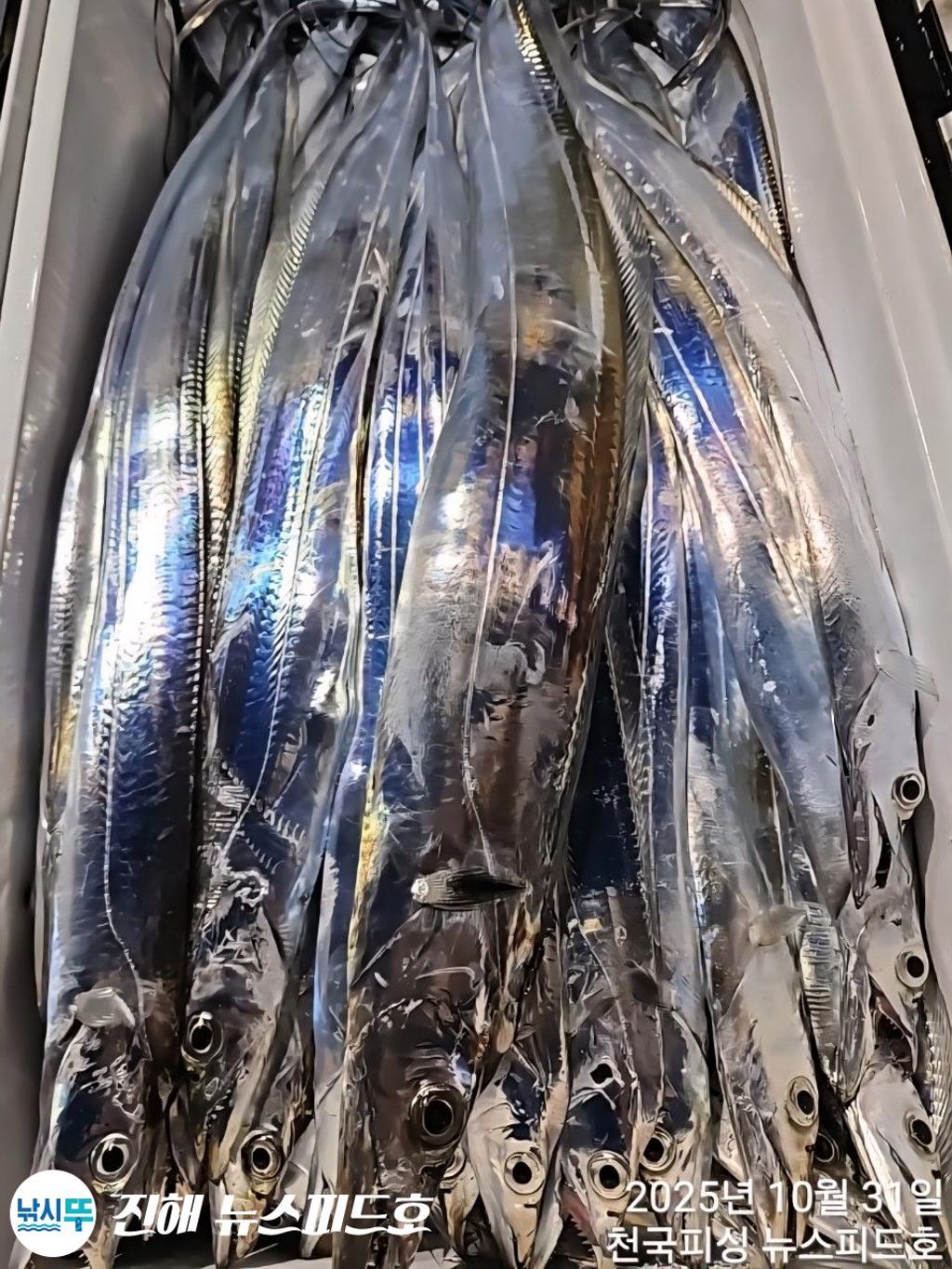 낚시뚜,,진해행암항,진해 뉴스피드호,낚시뚜11