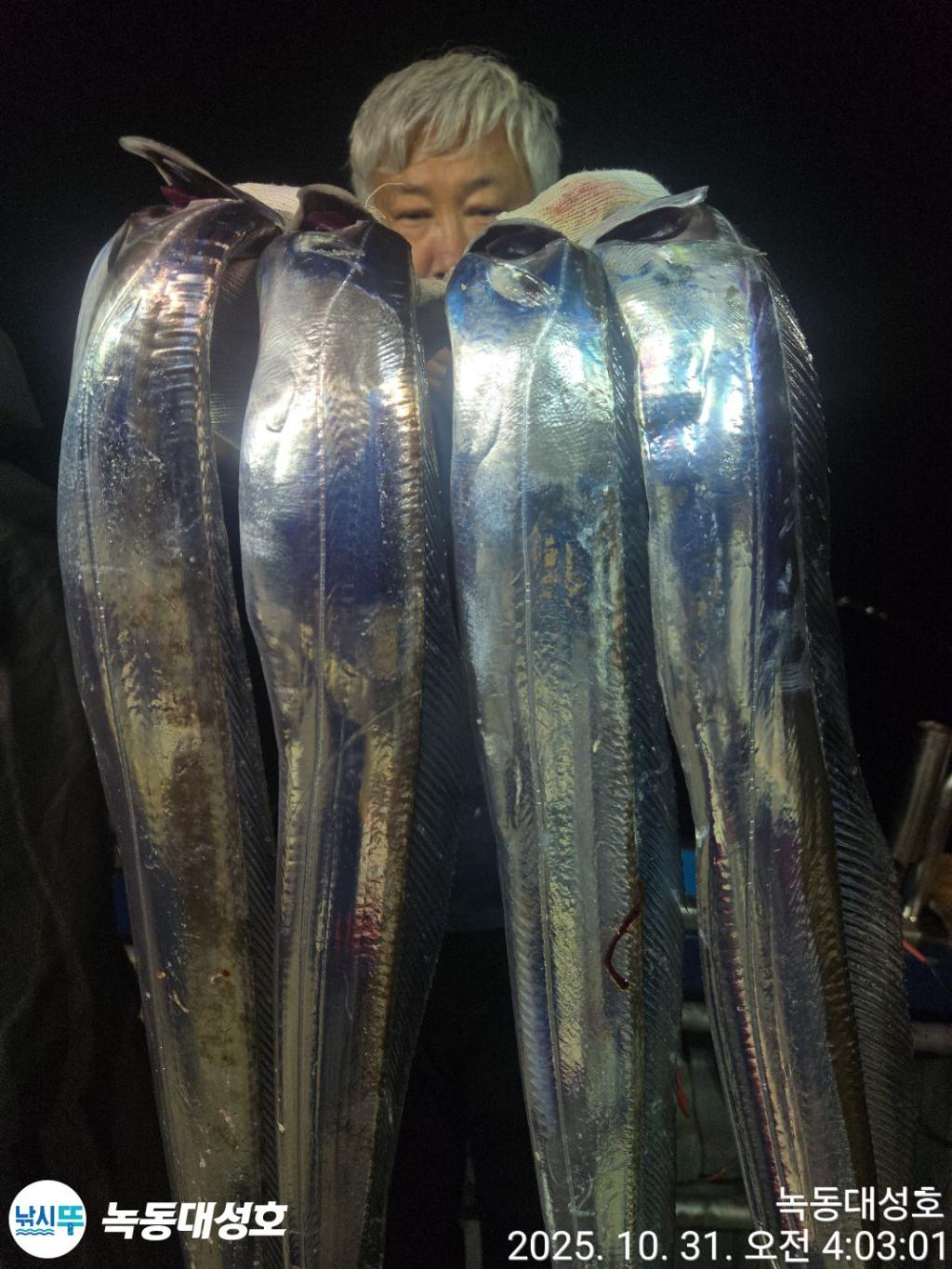 낚시뚜,갈치,녹동항,녹동대성호,낚시뚜45