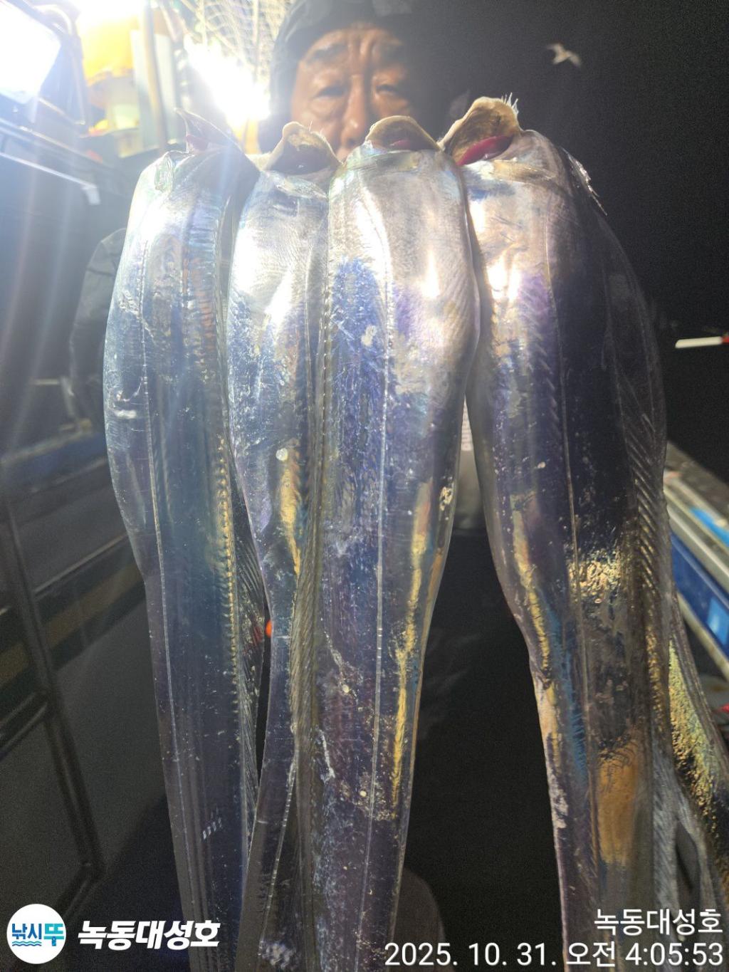 낚시뚜,갈치,녹동항,녹동대성호,낚시뚜44