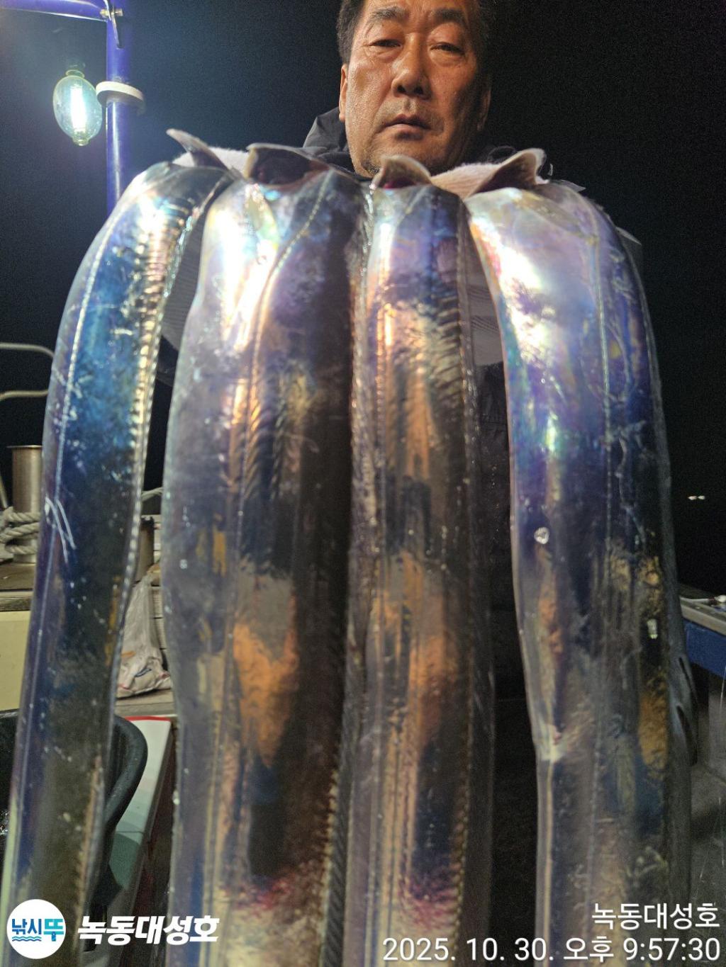 낚시뚜,갈치,녹동항,녹동대성호,낚시뚜42