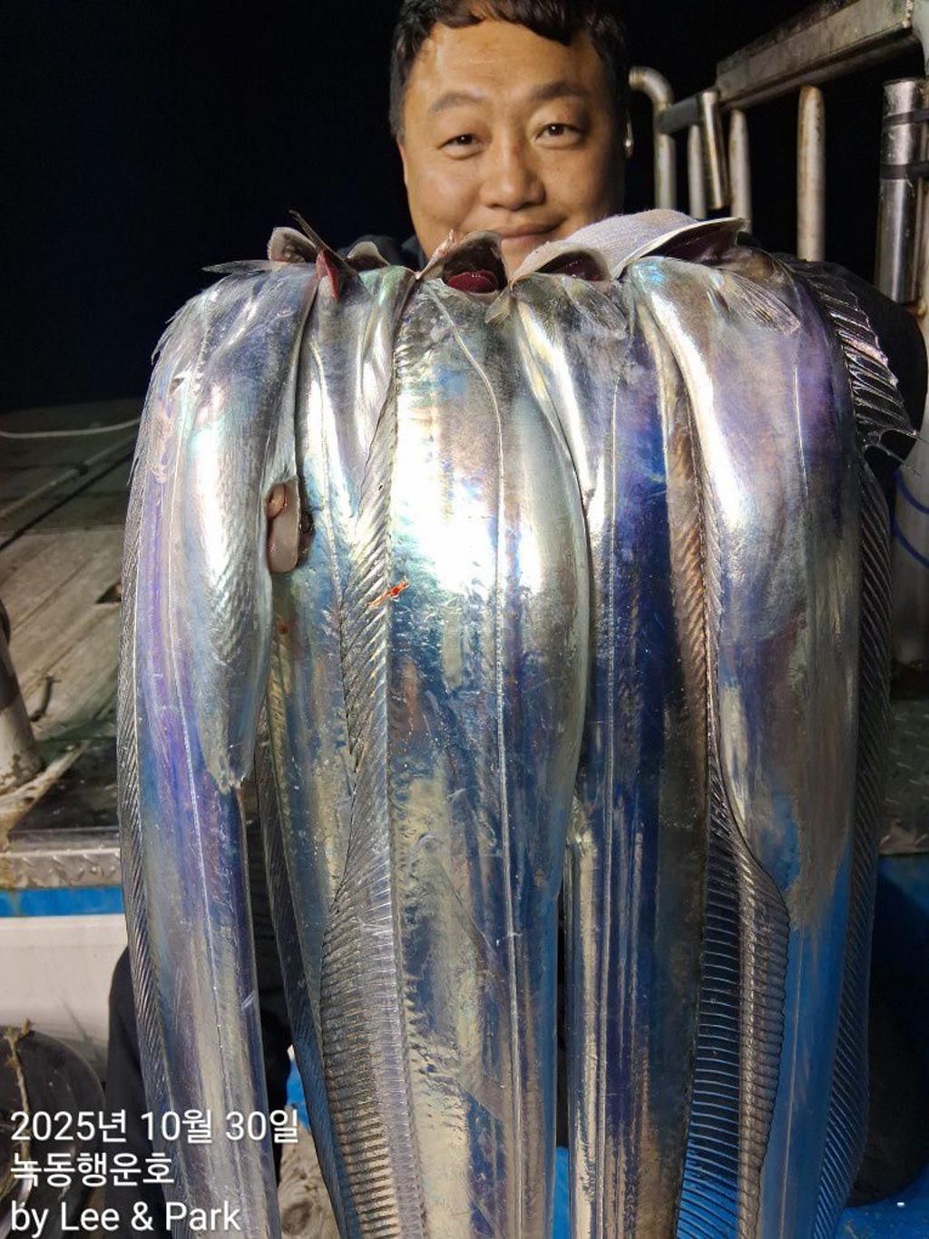 낚시뚜,갈치,녹동항,녹동대성호,낚시뚜41