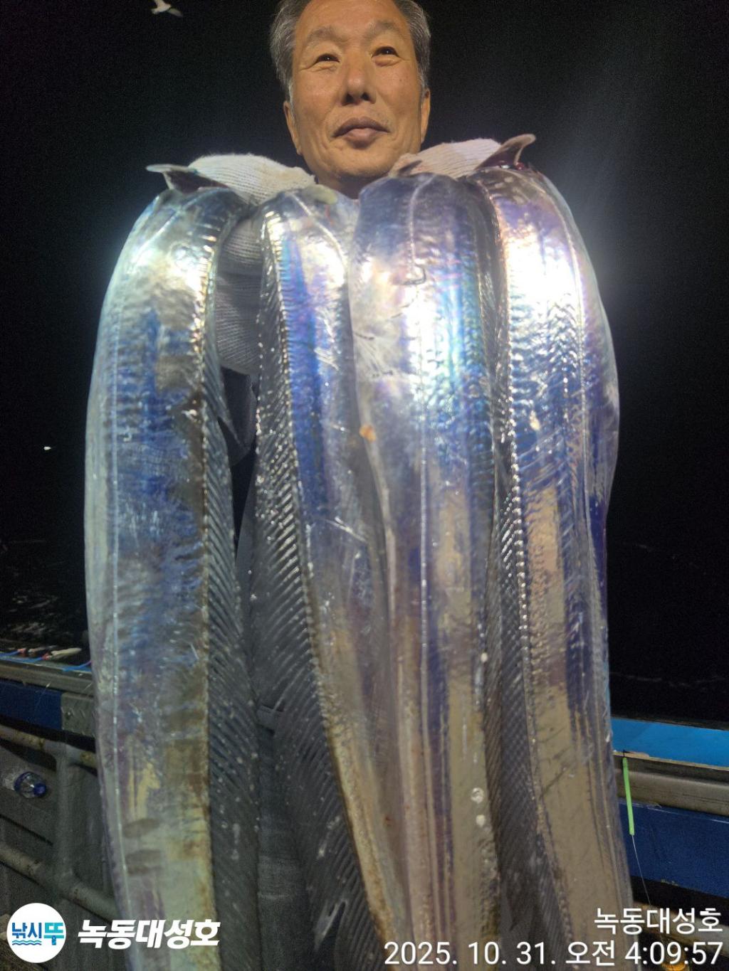 낚시뚜,갈치,녹동항,녹동대성호,낚시뚜39