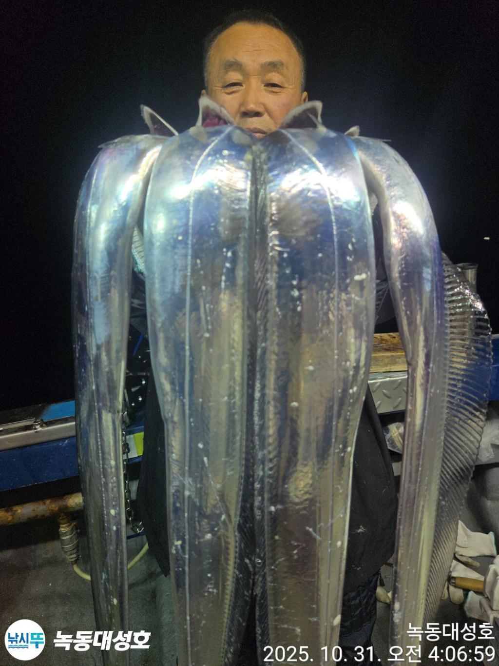 낚시뚜,갈치,녹동항,녹동대성호,낚시뚜38