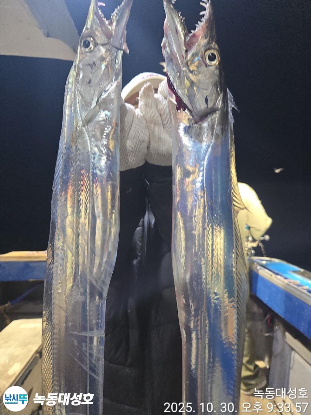 낚시뚜,갈치,녹동항,녹동대성호,낚시뚜33