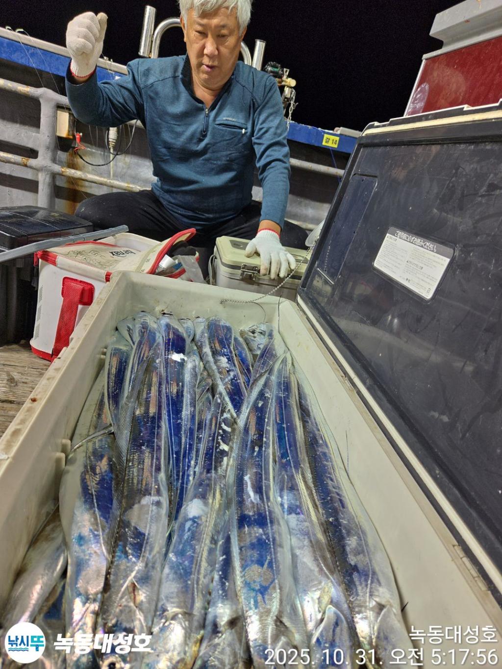 낚시뚜,갈치,녹동항,녹동대성호,낚시뚜24