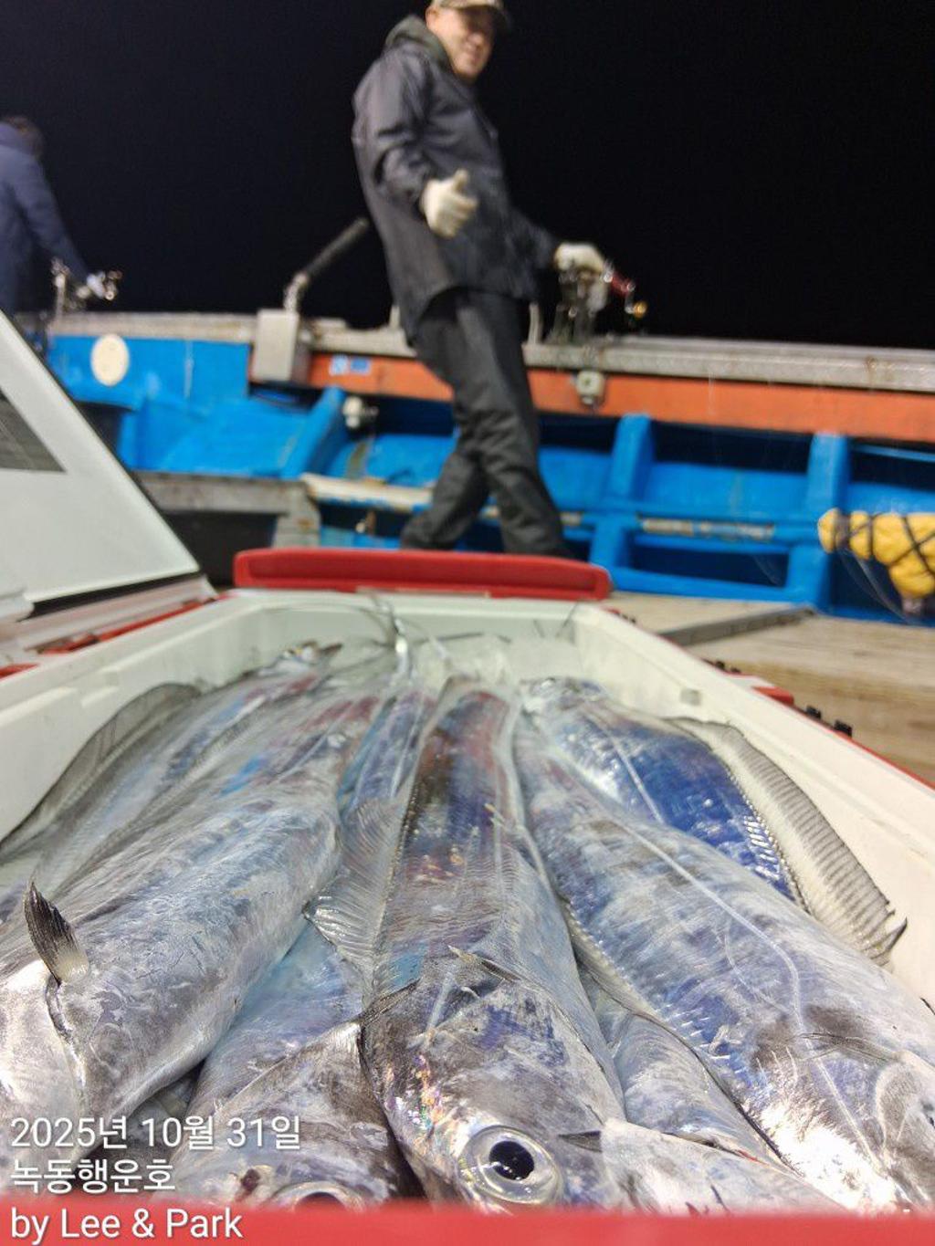 낚시뚜,갈치,녹동항,녹동대성호,낚시뚜20